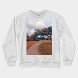 nature landscape, trees, walk path Crewneck Sweatshirt